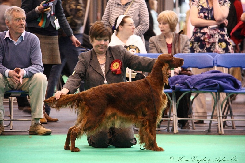 Crufts2011 865.jpg